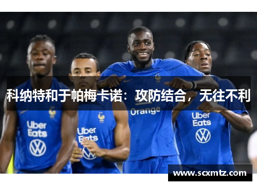 科纳特和于帕梅卡诺：攻防结合，无往不利